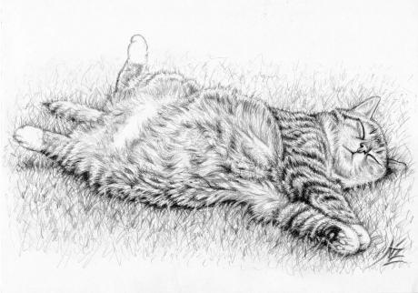Relaxing Cat - Nicole Zeug - Array auf - Array - Relaxing Cat - Nicole Zeug - Array auf - Array -