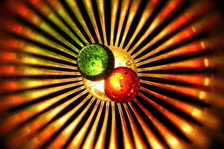 Kollision 2016--- - Henry Matz - auf - Array - Kollision 2016--- - Henry Matz - auf - Array -