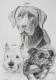 --- - Wassilij Dahmer - Bleistift auf Papier - Hunde - Realismus