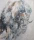 White Bull - Anja Mueller-Wood - Acryl-Ãl auf Leinwand - Wildtiere - Expressionismus