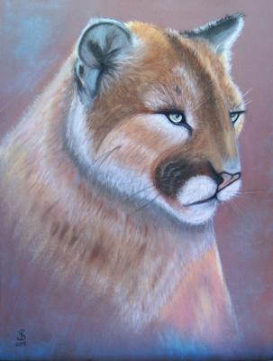 Puma--- - Jacqueline Scheib - Array auf Array - - Puma--- - Jacqueline Scheib - Array auf Array - -