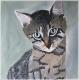 Pepsi - Karina Birke - Acryl auf Leinwand - Katzen - 