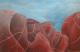 Landschaft Landschaft