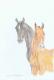 Fohlenpaar - Claudia LÃ¼thi - Farbstift auf  - Pferde - GegenstÃ¤ndlich-Impressionismus-Klassisch-Realismus