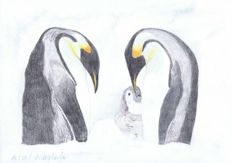 Pinguine-Familie - Claudia Lüthi - Array auf  -  - 