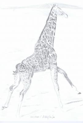 Giraffe - Claudia Lüthi - Array auf  - Array - 