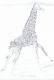 Giraffe - Claudia LÃ¼thi - Bleistift auf  - Wildtiere - 