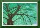 Arbre Arbre
